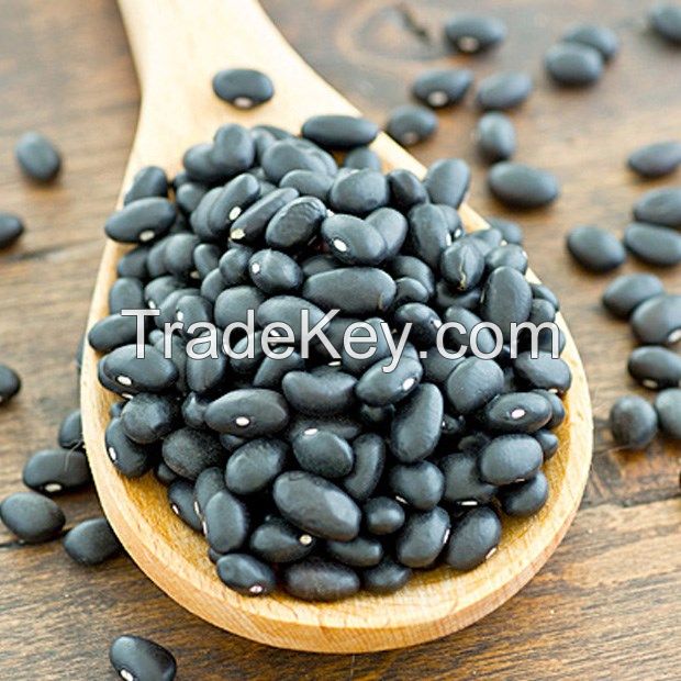 CLEAN LABEL BLACK BEANS WITH GREEN HEART / PLANT-SOURCED INGREDIENT