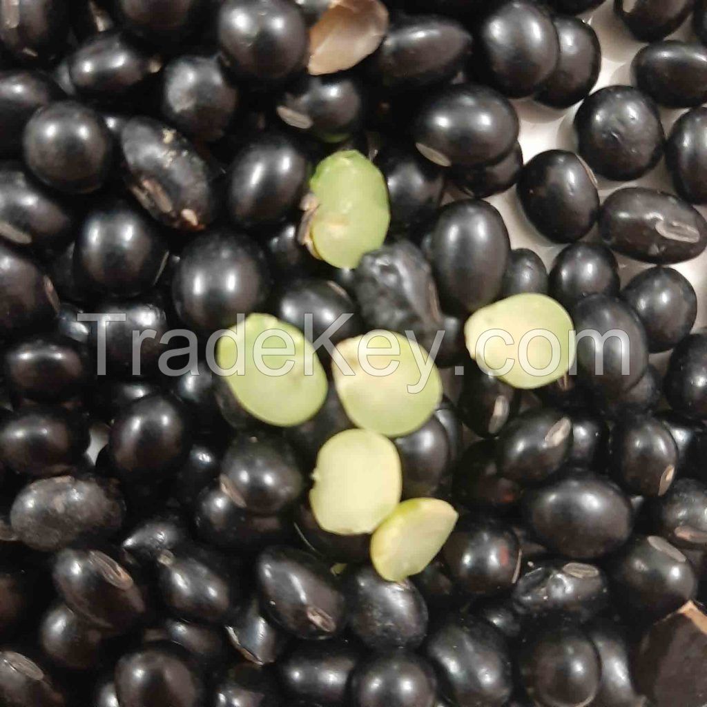 GREEN CORE BLACK BEANS / CLEAN LABEL / PLANT-BASED / NATURAL ORIGIN