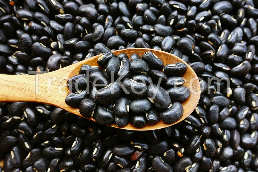 GREEN CORE BLACK BEANS / CLEAN LABEL / PLANT-BASED / NATURAL ORIGIN