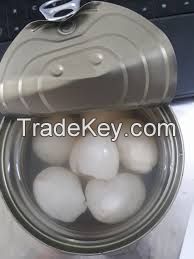 WHOLE LYCHEE FRUIT IN LIGHT SYRUP / CLEAN LABEL / READY TO SERVE