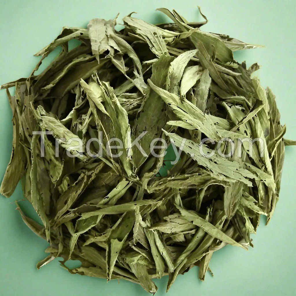 EXPORT-GRADE DRIED SWEET LEAF / CLEANLY PROCESSED / 100% NATURAL