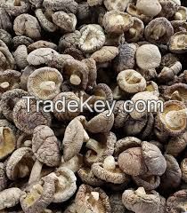 100% PLANT-BASED SHIITAKE MUSHROOM / NO PRESERVATIVES / DRIED FORMAT