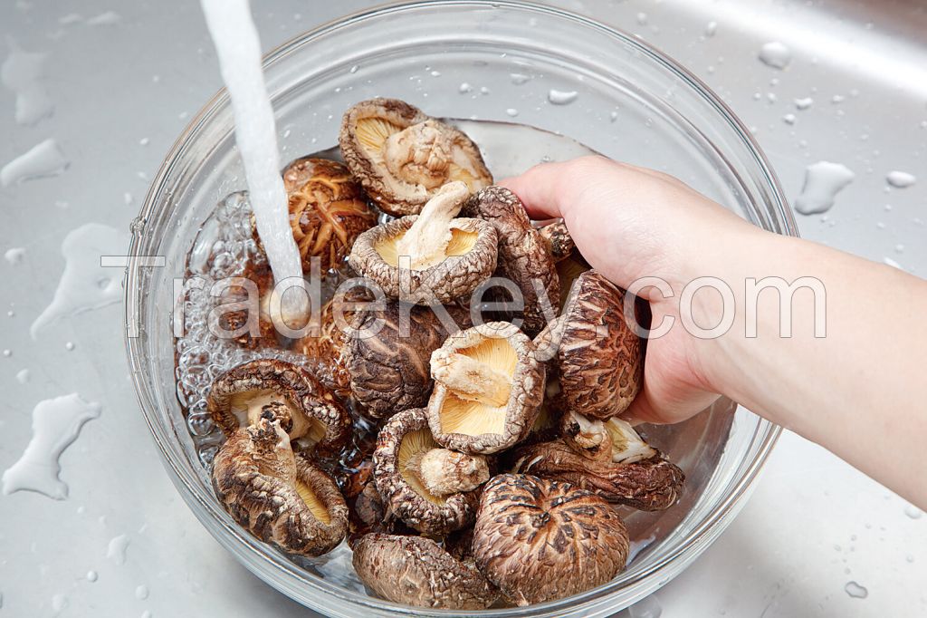 VIETNAMESE DRIED SHIITAKE MUSHROOM / CLEANLY PROCESSED / OEM AVAILABLE