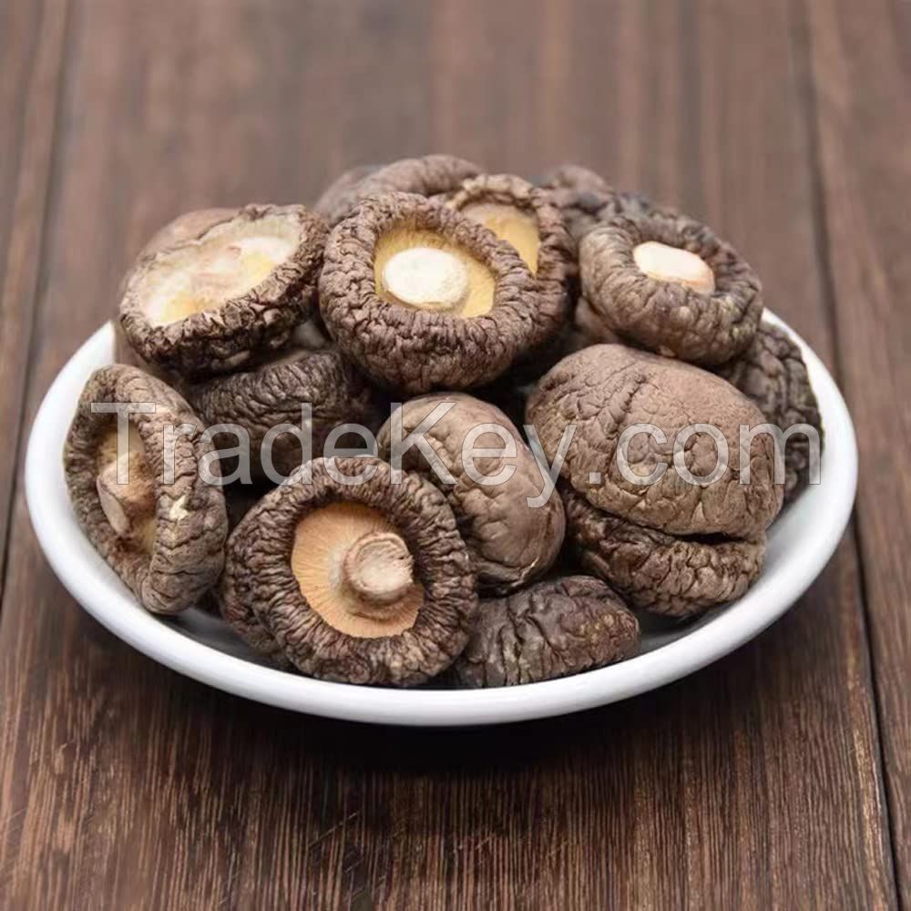 VIETNAMESE DRIED SHIITAKE MUSHROOM / CLEANLY PROCESSED / OEM AVAILABLE