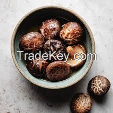 VIETNAMESE DRIED SHIITAKE MUSHROOM / CLEANLY PROCESSED / OEM AVAILABLE