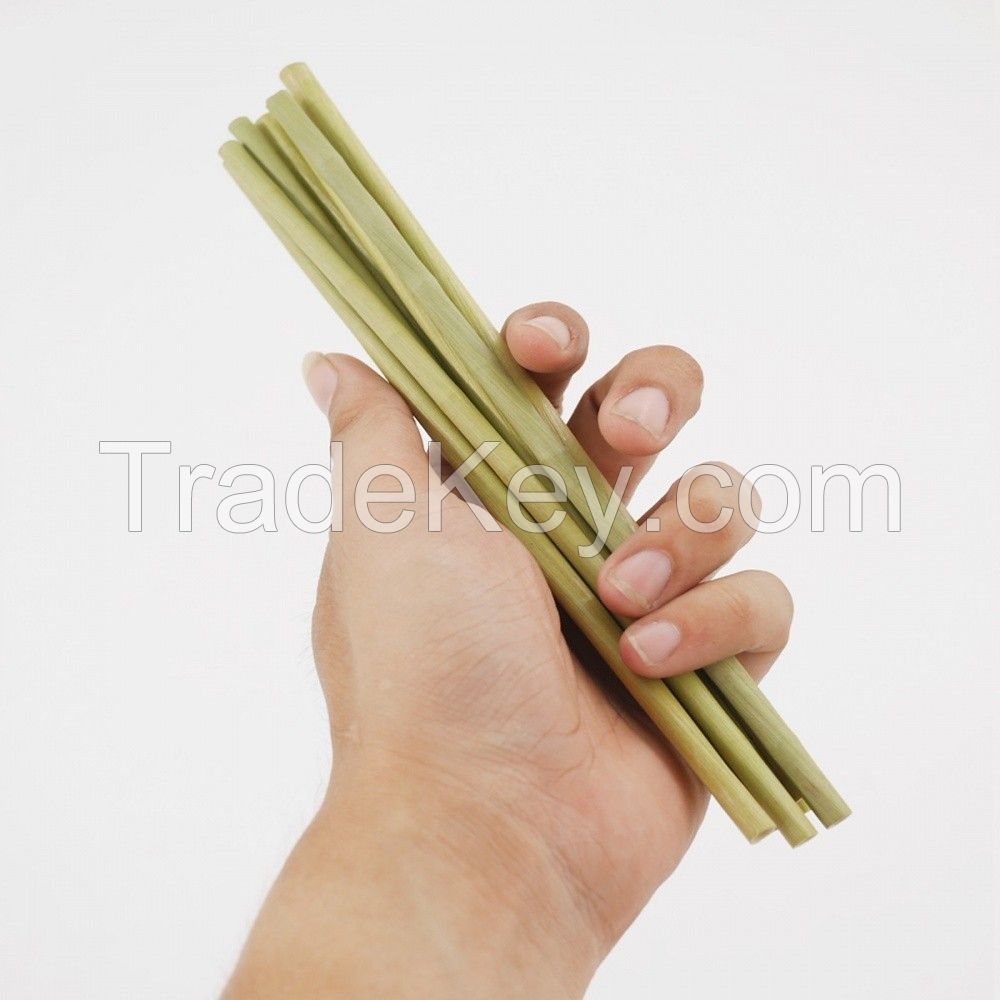 GRASS-BASED DRINKING STRAW / PLASTIC-FREE / CLEANLY PROCESSED