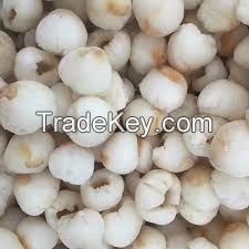FROZEN LYCHEE / CLEAN LABEL / NATURAL SWEETNESS / READY TO USE