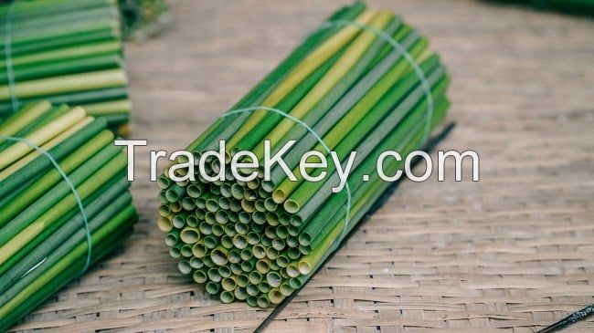 GRASS-BASED DRINKING STRAW / PLASTIC-FREE / CLEANLY PROCESSED