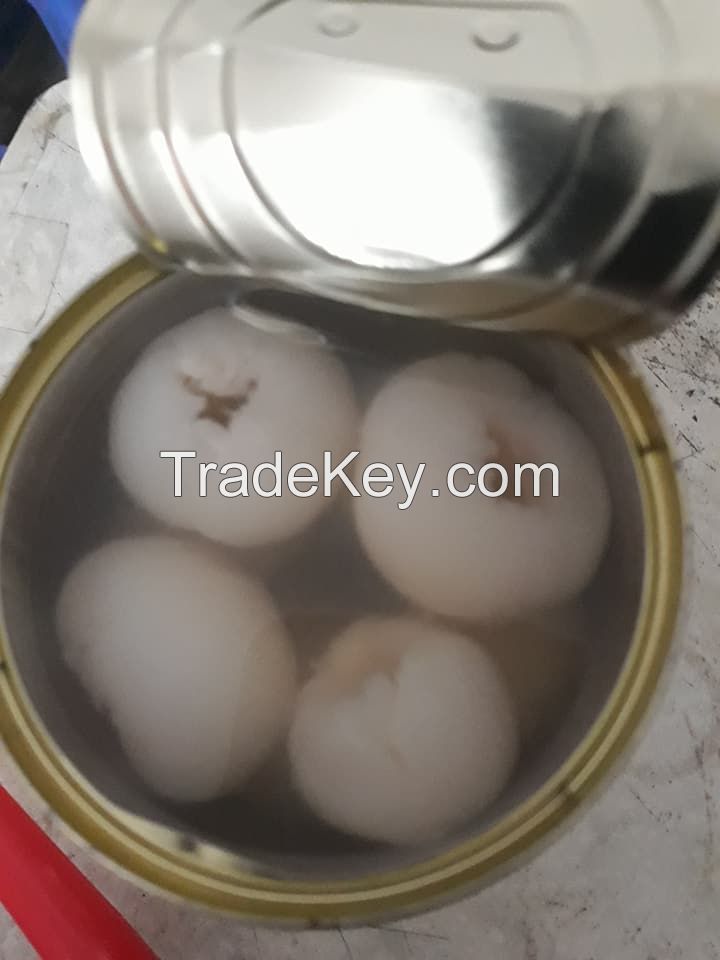 LUSHLY WHOLE LYCHEE IN LIGHT SYRUP / CLEAN TASTE / READY TO ENJOY