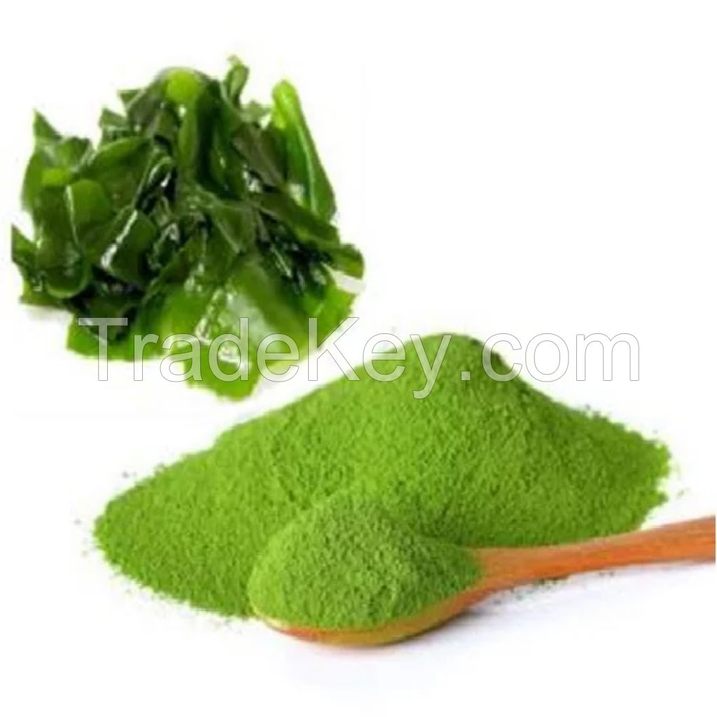 Ulva Lactuca Powder