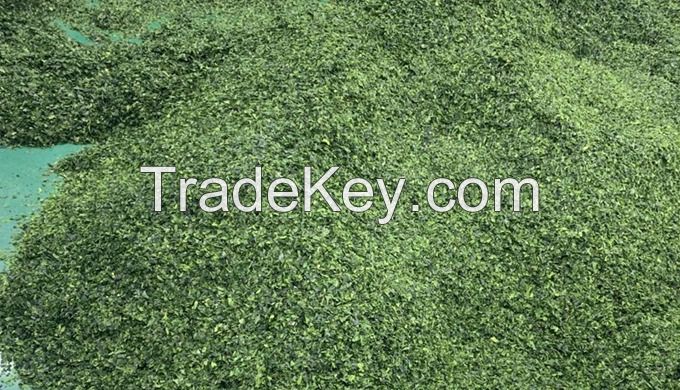 Ulva Lactuca Powder