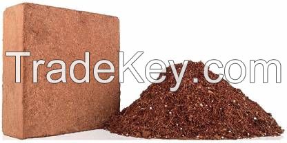 PREMIUM COIR PEAT / ORGANIC BASE / PLANT-GROWN SUPPORT