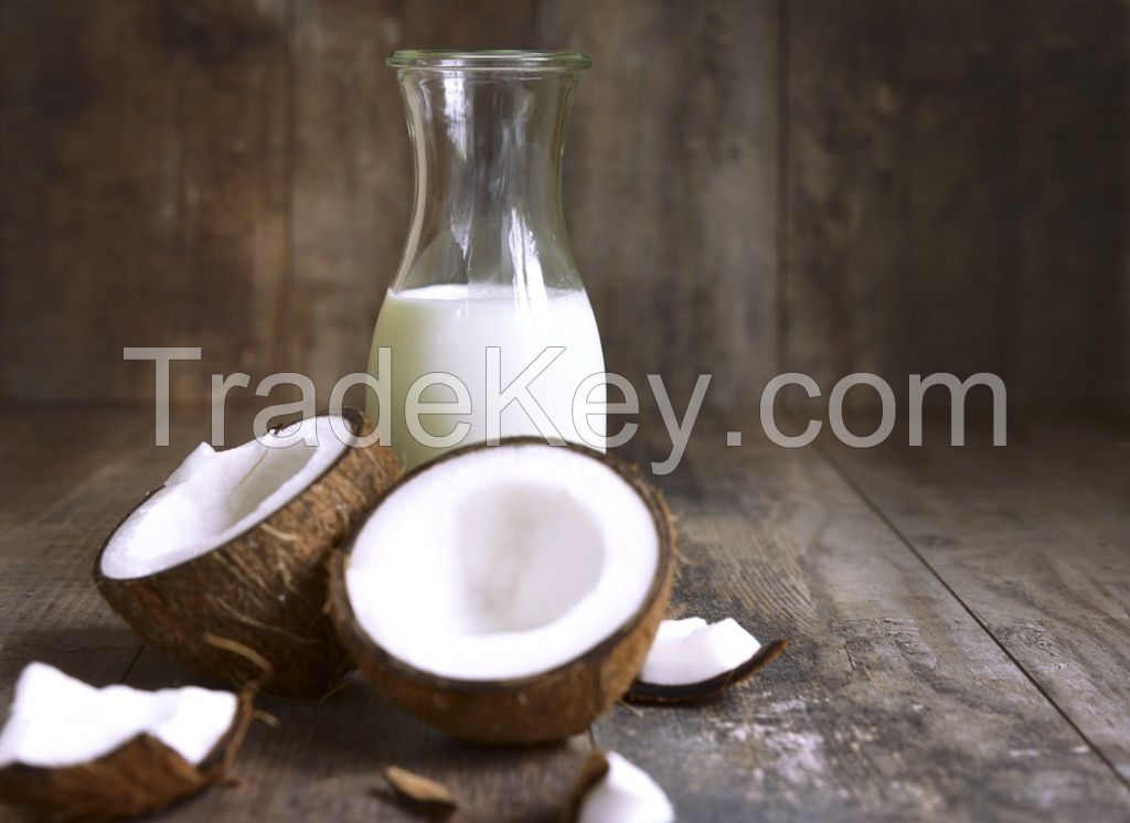 COCONUT MILK BEVERAGE BASE / PLANT-DERIVED / CLEAN FORMULATION