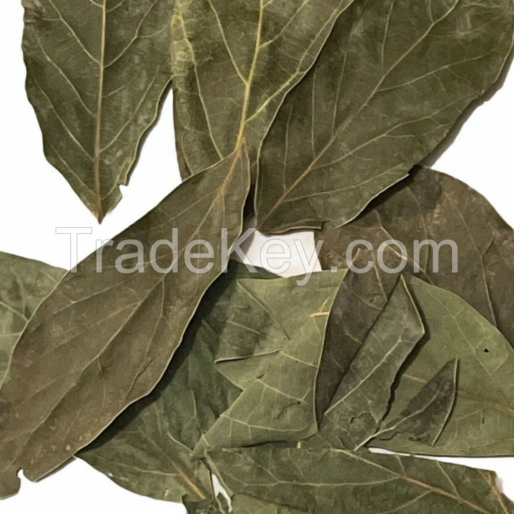 SUN-DRIED AVOCADO LEAVES / WHOLE FORM / NO PRESERVATIVES