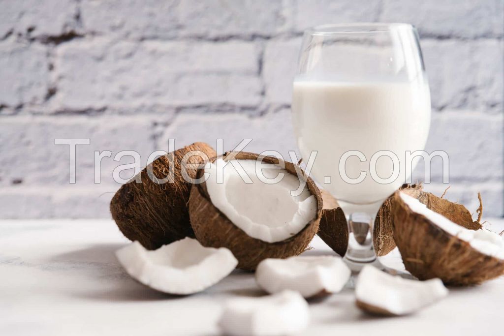 COCONUT MILK BEVERAGE BASE / PLANT-DERIVED / CLEAN FORMULATION