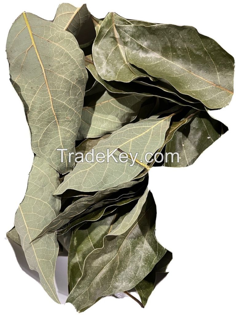 SUN-DRIED AVOCADO LEAVES / WHOLE FORM / NO PRESERVATIVES