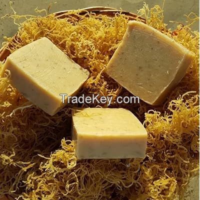 NATURAL SEA MOSS SOAP / HANDCRAFTED / GENTLE ON SKIN