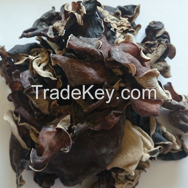 BLACK FUNGUS FOR COOKING / PURELY DRIED / WHOLE OR SLICED OPTIONS