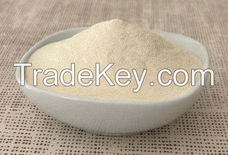 CLEAN LABEL AGAR AGAR / SEA PLANT SOURCE / GELATIN SUBSTITUTE
