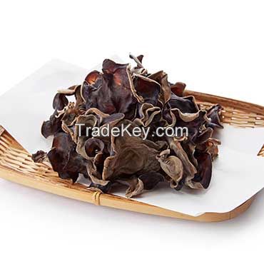 PURE DRIED BLACK FUNGUS / CLEAN LABEL / PLANT-BASED / NATURAL TEXTURE