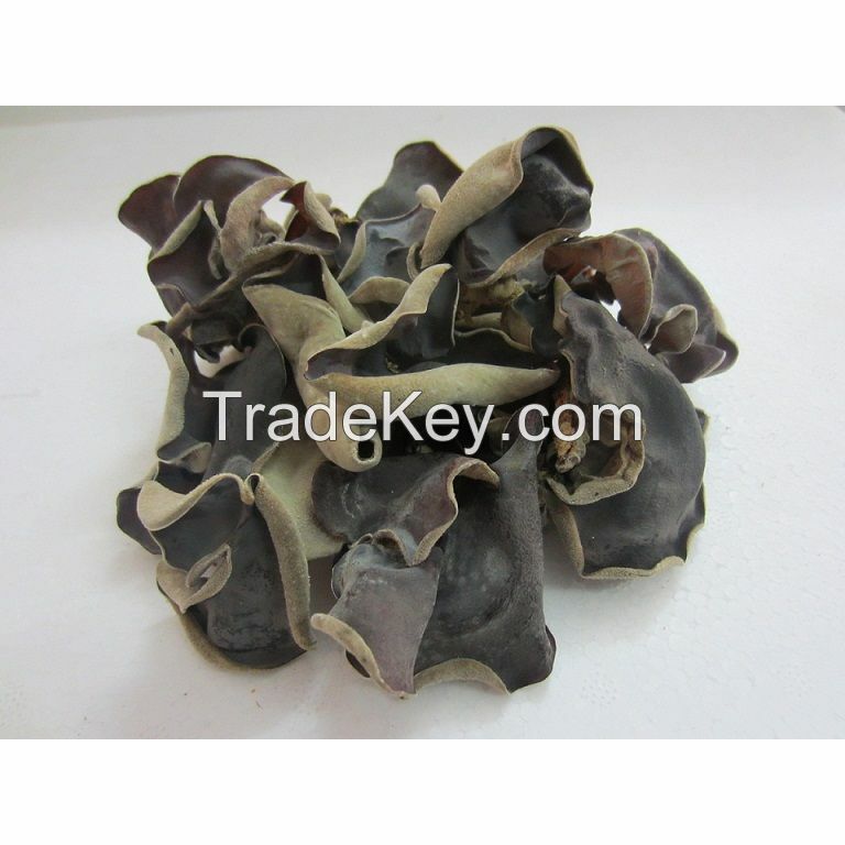 WILD-SOURCED BLACK FUNGUS / SIMPLE INGREDIENT / CLEANLY PACKED