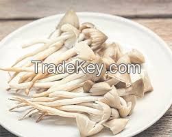 EARTHROOT MUSHROOM POWDER