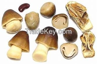 PURE SALTED MUSHROOM / WHOLE FOOD / NON-GMO / VEGAN FRIENDLY