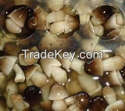 PURE SALTED MUSHROOM / WHOLE FOOD / NON-GMO / VEGAN FRIENDLY
