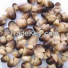 PURE SALTED MUSHROOM / WHOLE FOOD / NON-GMO / VEGAN FRIENDLY