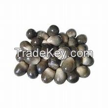 PURE SALTED MUSHROOM / WHOLE FOOD / NON-GMO / VEGAN FRIENDLY