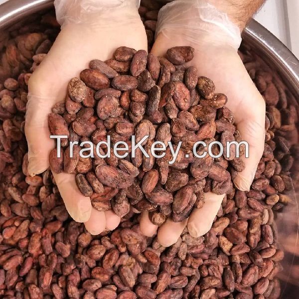 ORGANIC DRIED CACAO BEANS | NON-GMO | RAW AND WHOLE | FOR ROASTING AND GRINDING