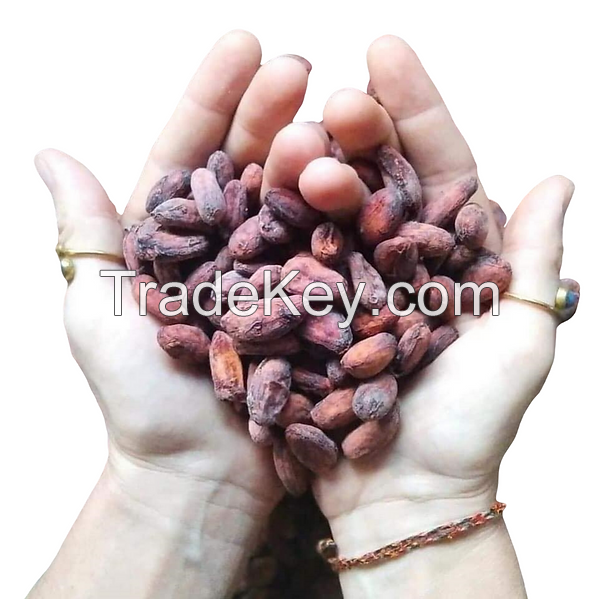 ORGANIC DRIED CACAO BEANS | NON-GMO | RAW AND WHOLE | FOR ROASTING AND GRINDING