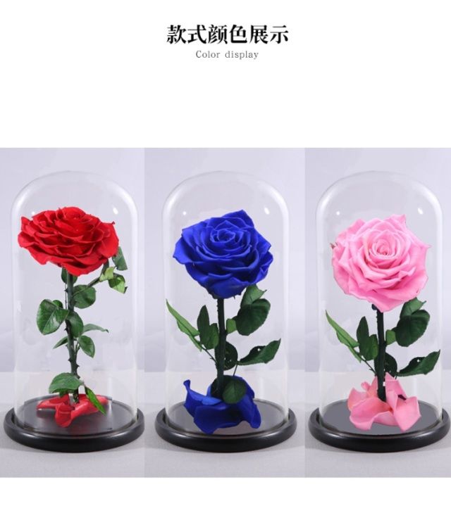 Wholesale preserved decorative roses flower in glass