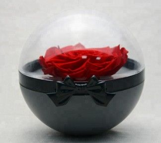 Acrylic preserved rose eternal flower tumbler in acrylic tumbler gift