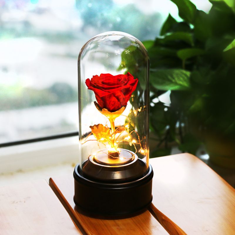 Latest preserved rose dried flower with led light in glass dome led