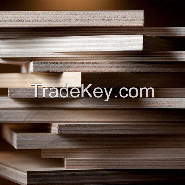 China ACEALL Construction Packing Furniture Bintangor Okoume Birch Pine Ash Faced Commercial Plywood