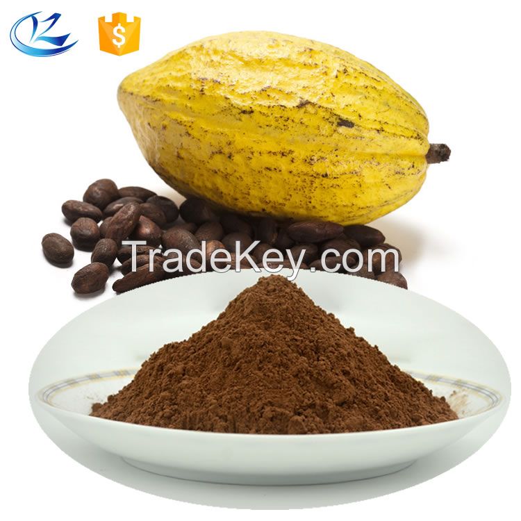 wholesale price dutch processed raw organic cocoa powder fat 10-12
