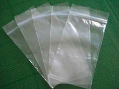 plastic reclosable bag