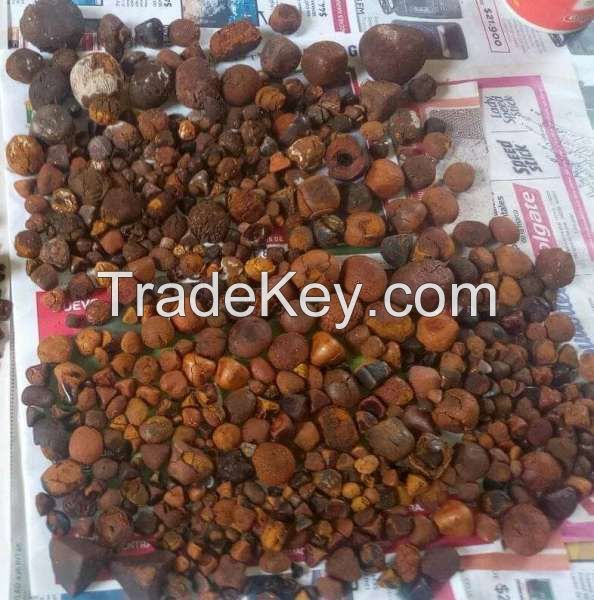 Grade AA Ox Gallstones | Cattle Gallstones | Cow Gallstones For Sale