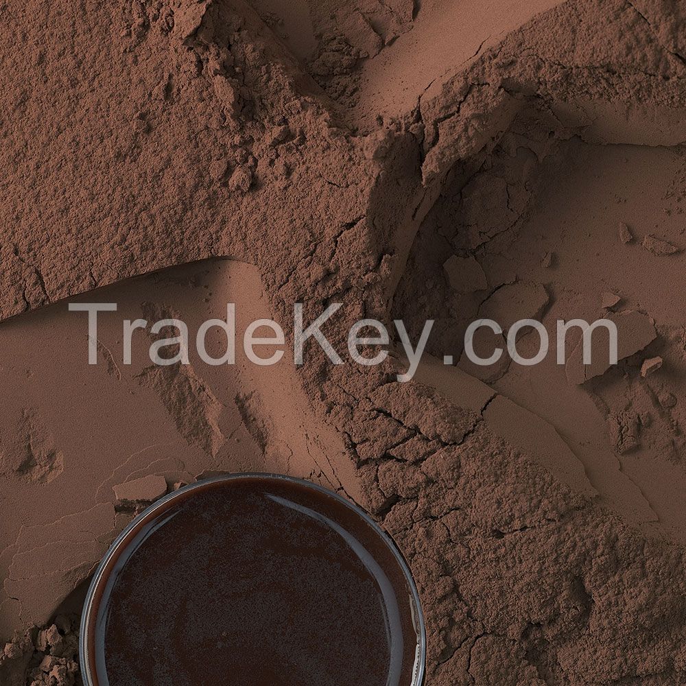 Raw Cocoa Powder with High Quality