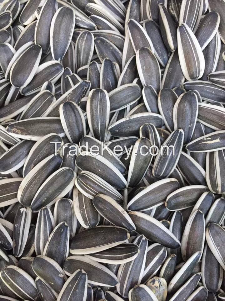 SUNFLOWER SEEDS