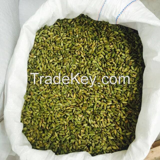 Dried Premium Quality 7-9 mm Green Cardamom