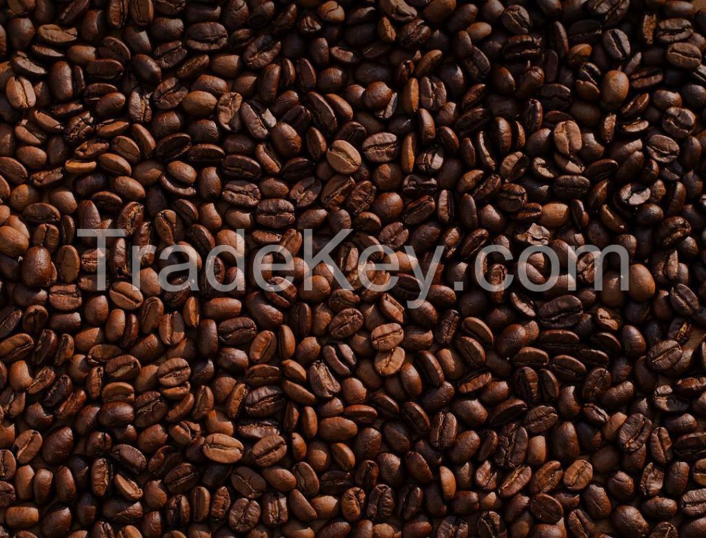 Arabica And Robusta Coffee Beans