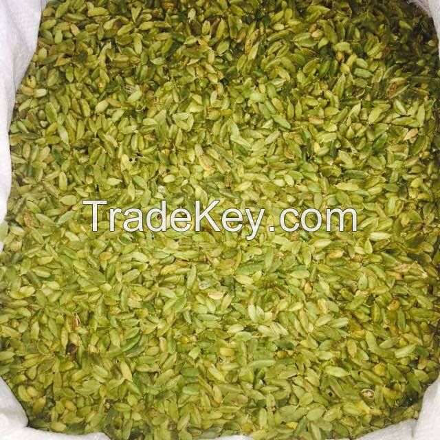 Dried Premium Quality 7-9 mm Green Cardamom