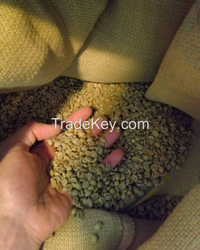 Arabica And Robusta Coffee Beans