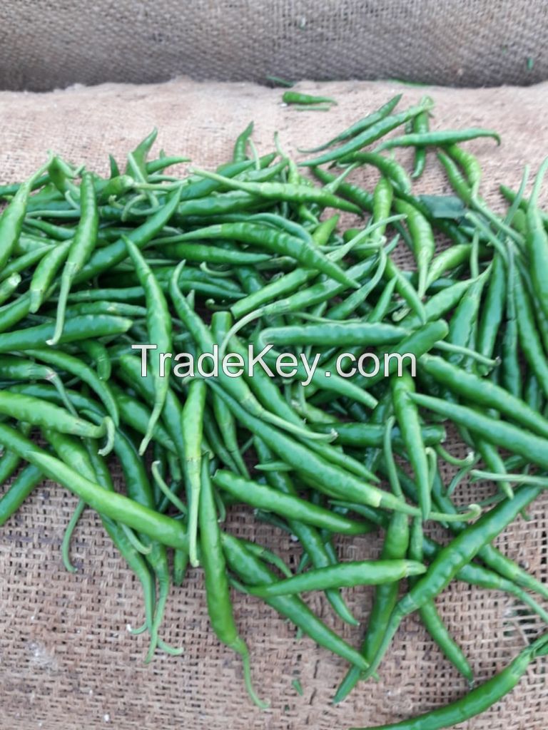 Green Chilli