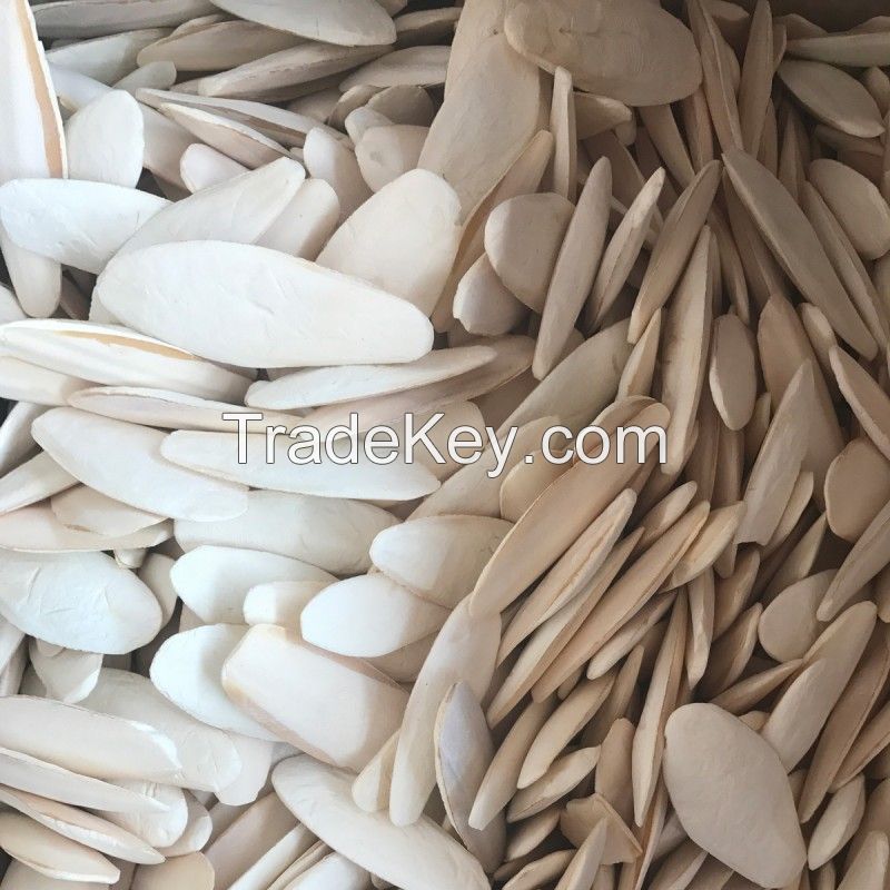 Dried cuttlefish bone