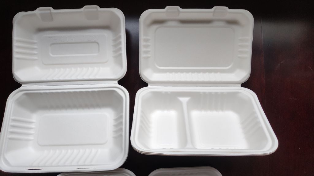 biodegradable food takeout box