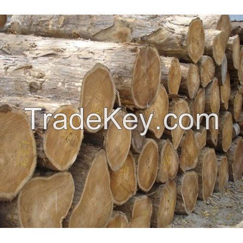 teak wood log