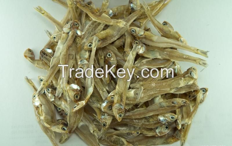 DRIED ANCHOVY